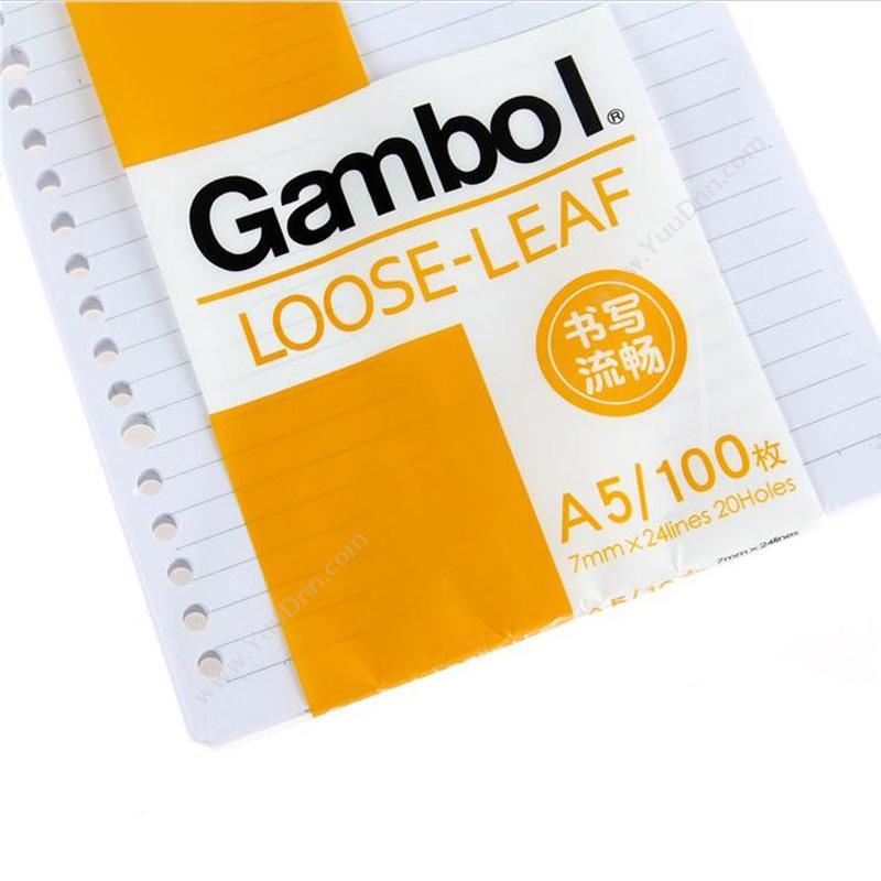 渡边 Gambol LL1101 活页纸 A5 100页  20孔 （白） 螺旋本