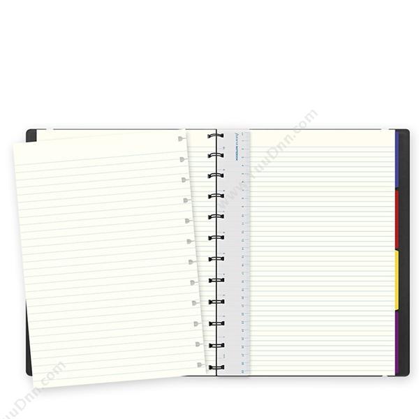 斐来仕 Filofax 115022 再装型笔记本 A4 （黑） 活页