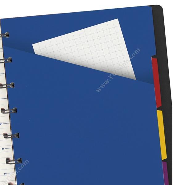 斐来仕 Filofax 115022 再装型笔记本 A4 （黑） 活页