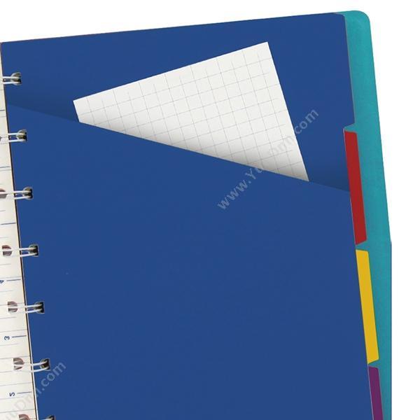 斐来仕 Filofax 115027 再装型笔记本 A4 天（蓝） 活页