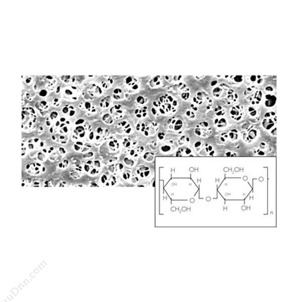 Sartorius 再生纤维素膜过滤器