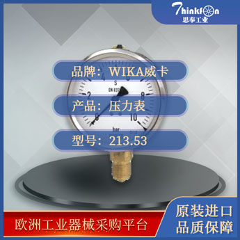 威卡 WIKA 213.53 压力表