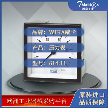 威卡 WIKA 614.11/634.11 压力表