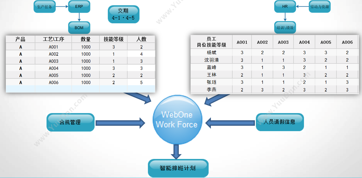 上海劳勤信息 COHO智能排班管理 人力资源