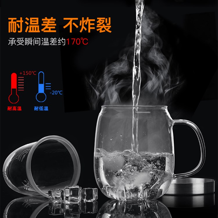 尚明 SAMA DOYO 尚明玻璃茶杯过滤带把泡茶办公室绿茶花茶杯S016B（500ml） 玻璃杯/套装