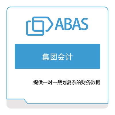 世问信息技术 Abas 集团会计 集团财务