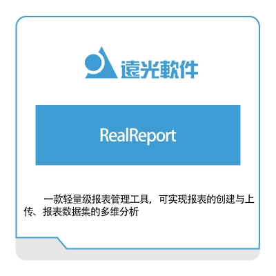 远光软件 RealReport 电力软件