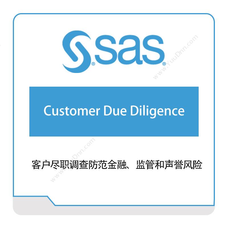 赛仕软件 SAS客户尽职调查商业智能BI