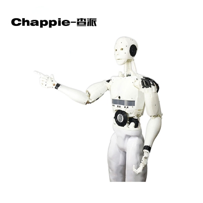 泰绅机器人 chapple-查派 商用机器人