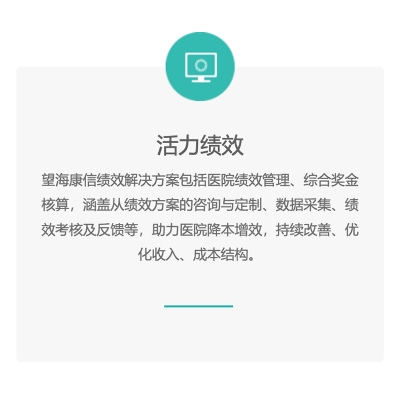 东软望海 活力绩效 医疗软件