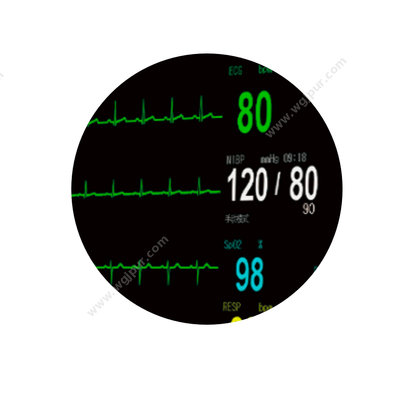 联赢医疗 KB12A 生命监测