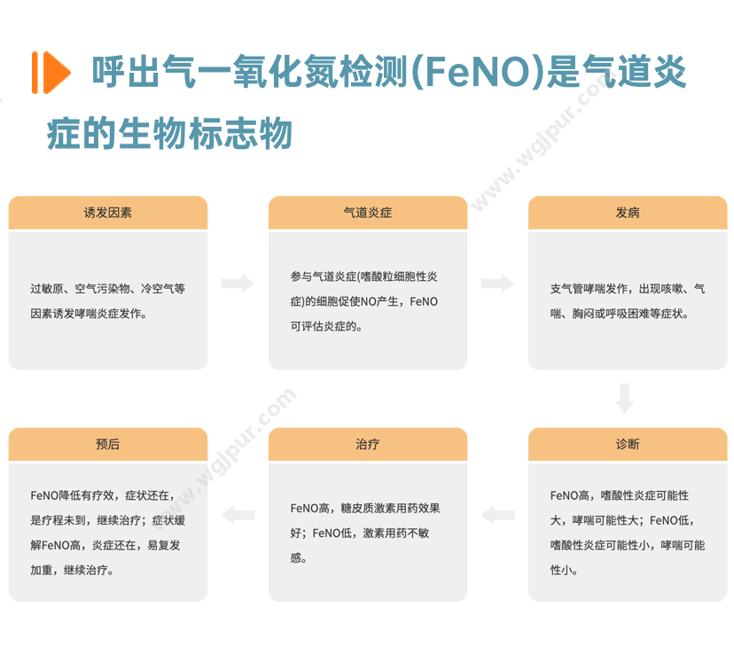 广州瑞普 N1 生命监测