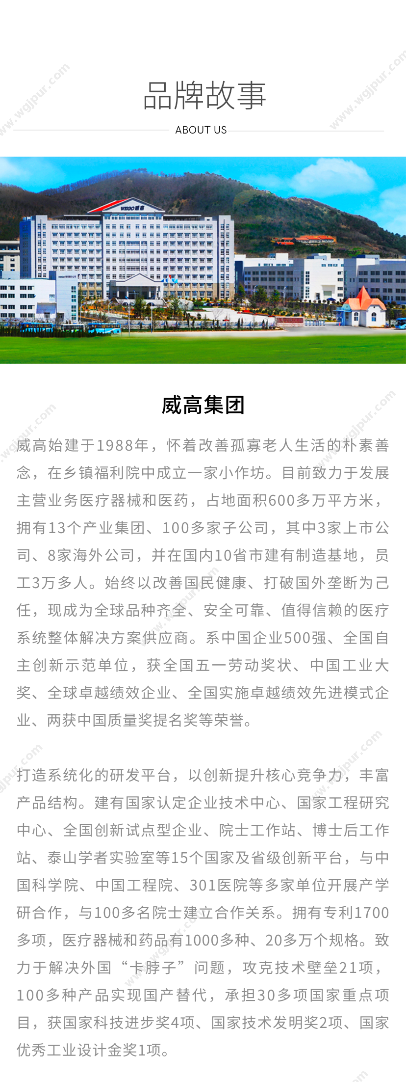 威高集团 （袋式）(1000ml)（120支/件) 1000ml 医用耗材