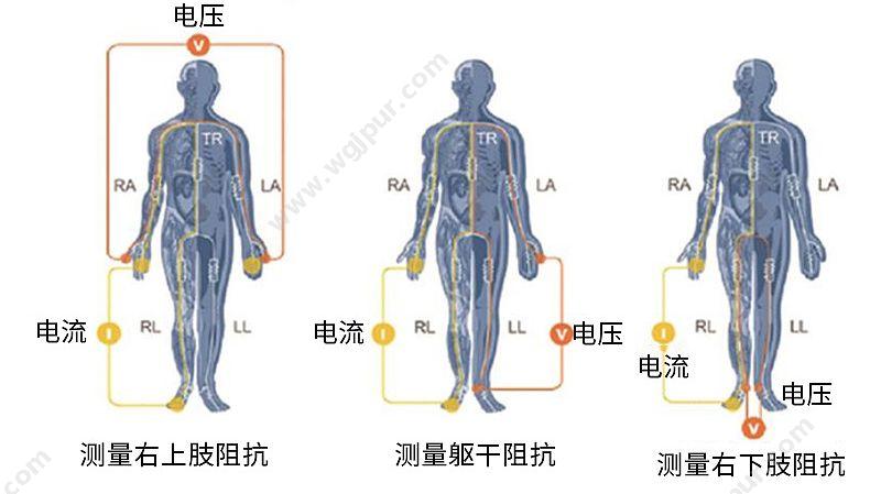 汇医融工HYRG BC care 830 人体成分分析