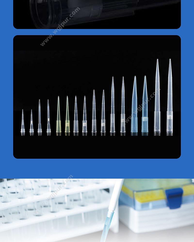 徕谱 Labtrip 盒装灭菌吸头 1000ul（96支/盒） CT1000-0-TFS 移液吸头