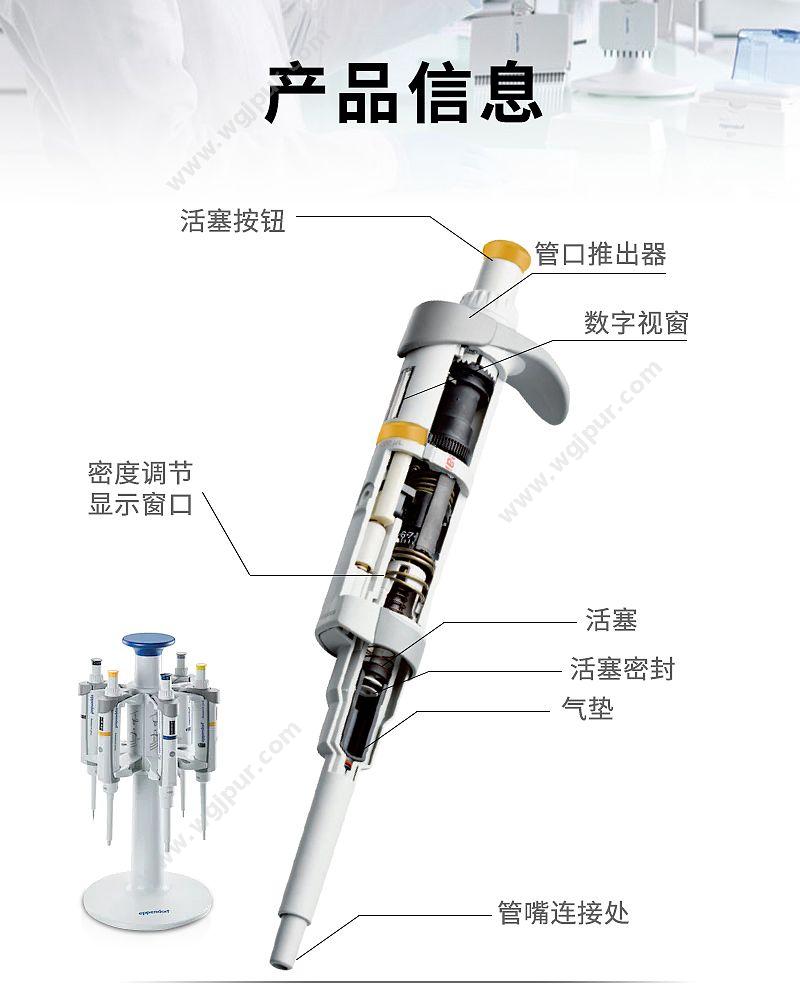 艾本德 Eppendorf basic 单道移液器 2 – 20 µL 3123000233 移液器