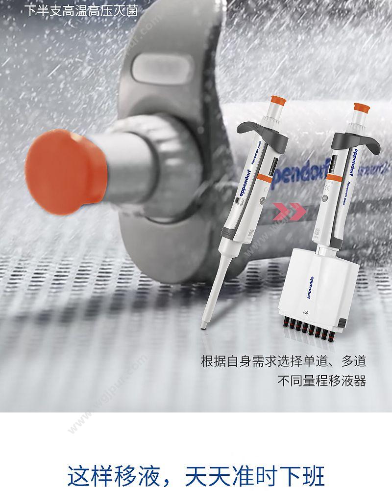 艾本德 Eppendorf basic 12道移液器 30–300µl 含吸头 3125000060 移液器