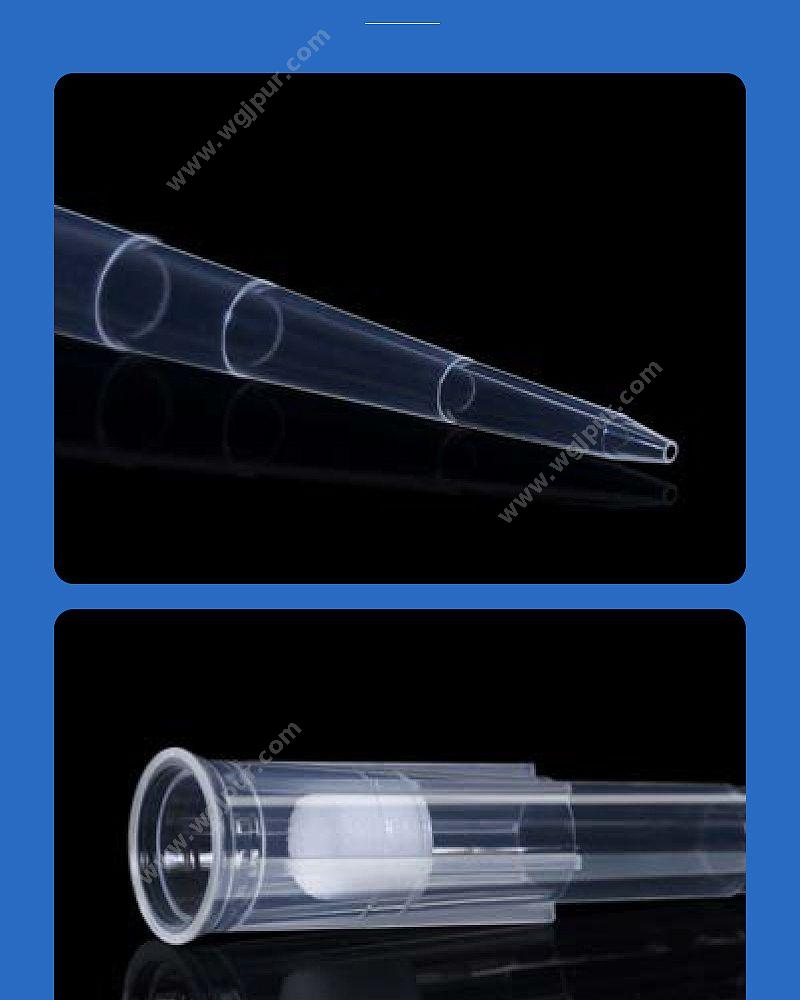 徕谱 袋装滤芯吸头1000μl（1000支/包）CT1000-1-DZ 移液吸头