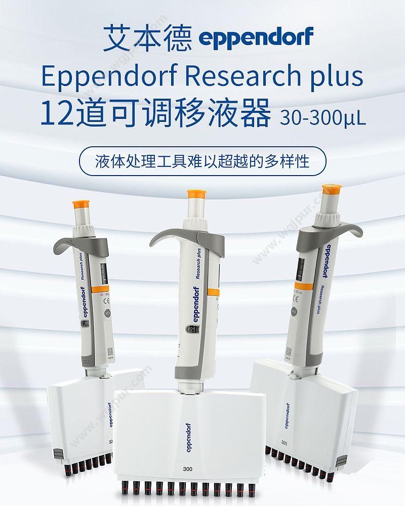 艾本德 Eppendorf basic 12道移液器 30–300µl 含吸头 3125000060 移液器