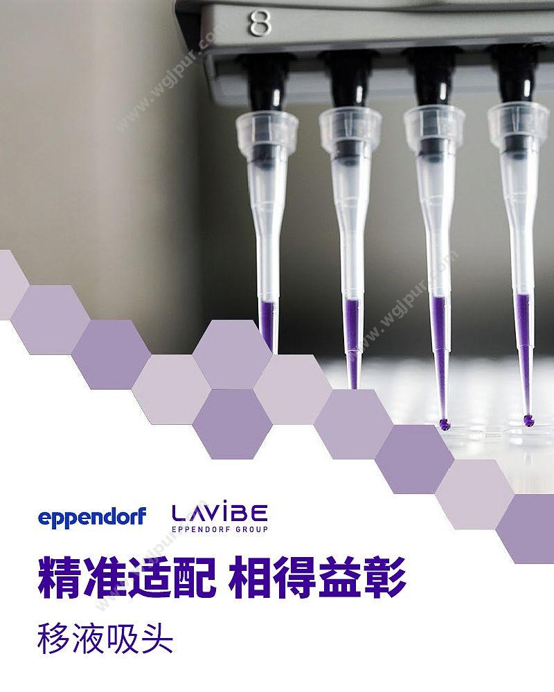 乐斐 LAVIBE 吸头 200微升黄色袋装可灭菌 2244010002 移液吸头