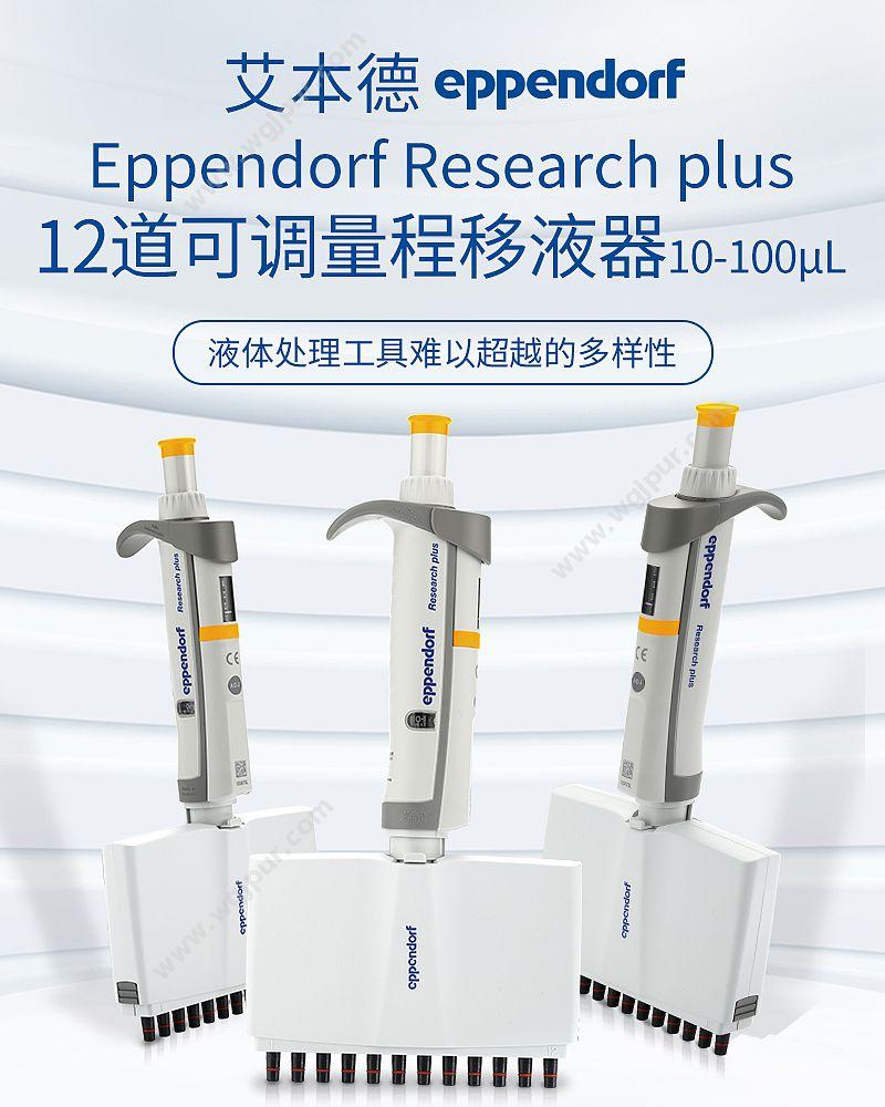 艾本德 Eppendorf basic 12道移液器 10–100µL 含吸头 3125000044 移液器