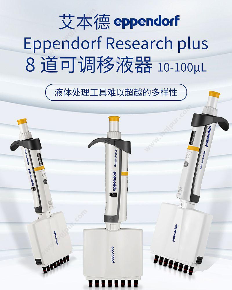 艾本德 Eppendorf basic 八道移液器 10–100 µL 含吸头 3125000036 移液器