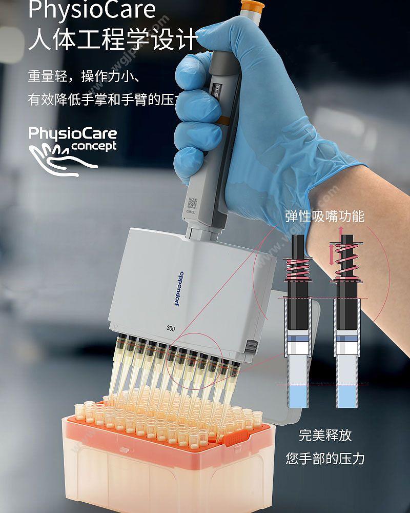 艾本德 Eppendorf basic 12道移液器 30–300µl 含吸头 3125000060 移液器