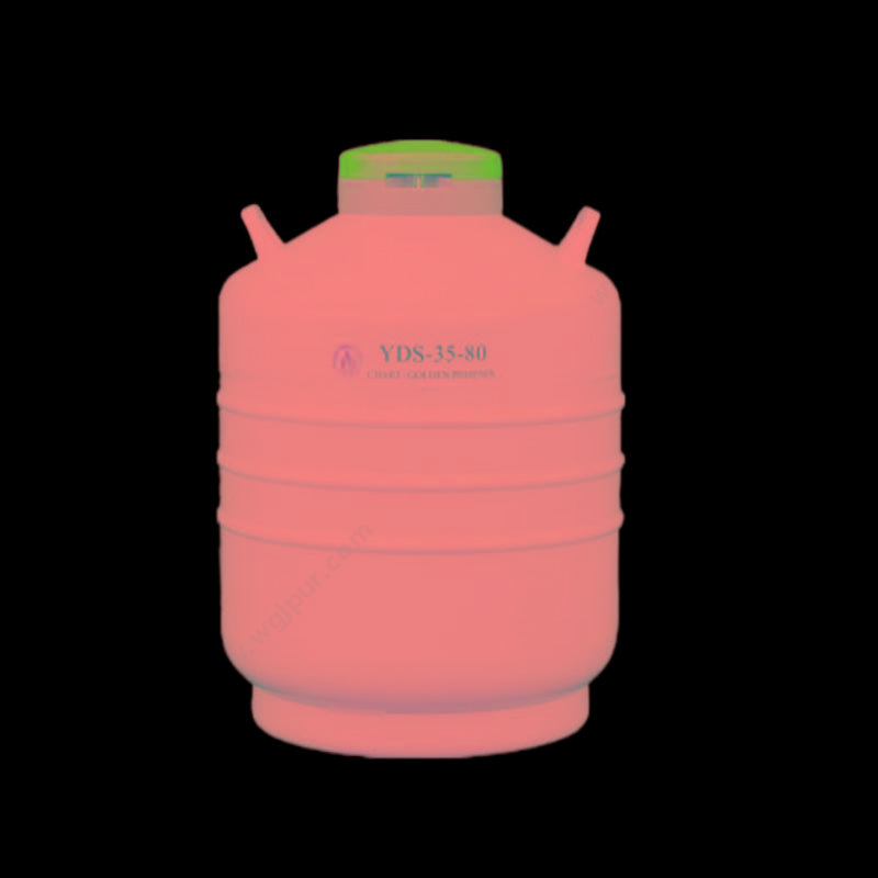 金凤 液氮生物容器贮存型 YDS-35-80优等品 液氮罐