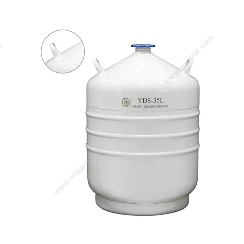 金凤 液氮型容器 YDS-35L 液氮罐