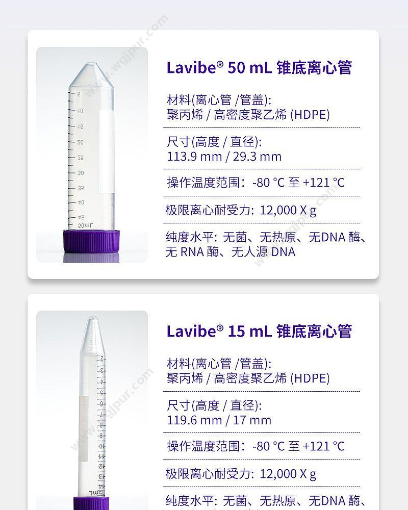 艾本德 乐斐 LAVIBE  50毫升平盖锥底纸架装灭菌 2244020003 离心管