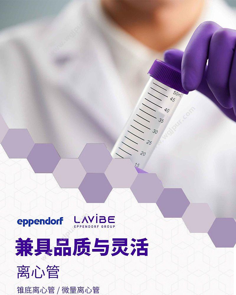 艾本德 乐斐 LAVIBE  15毫升平盖锥底纸架装灭菌 2244020001 离心管