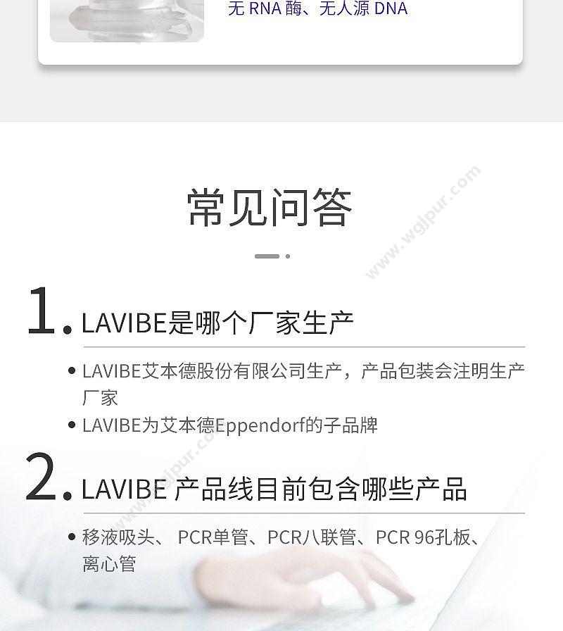 艾本德 乐斐 LAVIBE  50毫升平盖锥底纸架装灭菌 2244020003 离心管