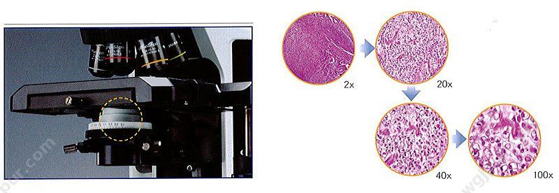 奥林巴斯 OLYMPUS 生物显微镜 Biological Microscope BX43 三目 生物显微镜