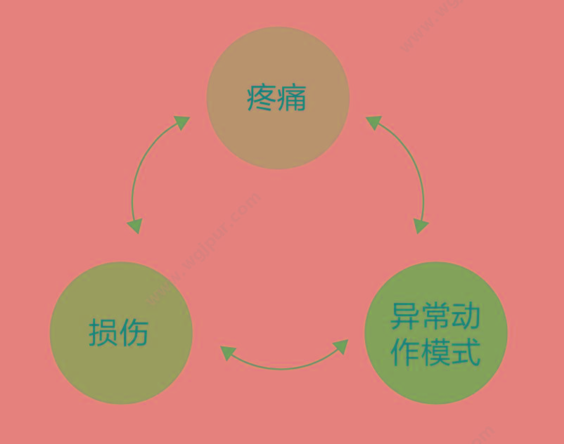 龙之杰 Longest 深层肌肉刺激仪 LGT-1300 肌力训练仪