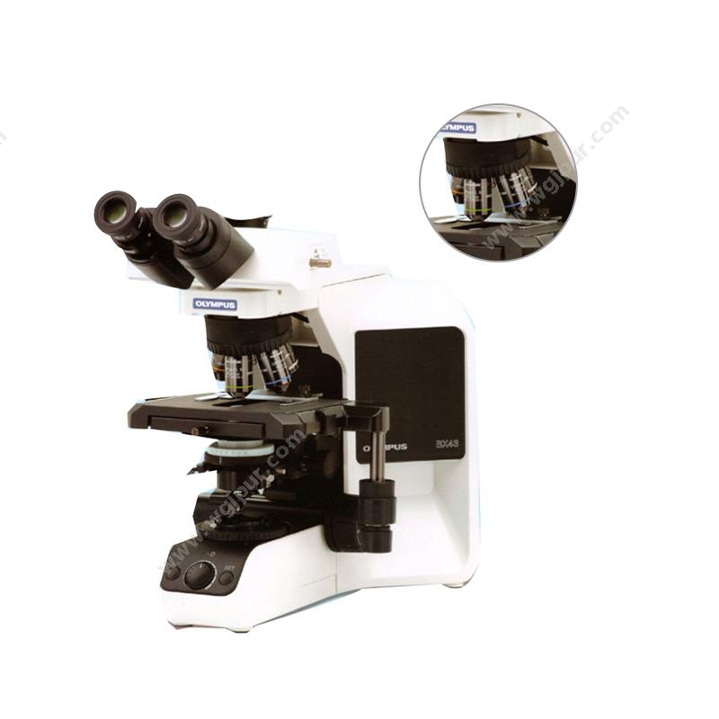 奥林巴斯 OLYMPUS 生物显微镜 Biological Microscope BX43 三目 生物显微镜