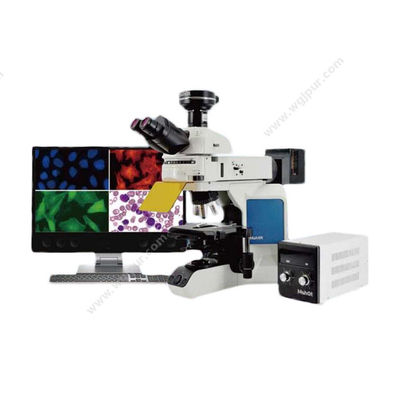明美 MSHOT荧光生物显微镜 MF43-M生物显微镜