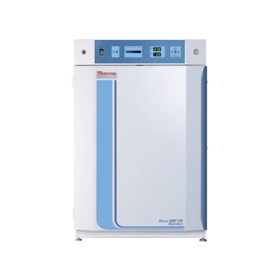 赛默飞世尔 Thermo 二氧化碳培养箱CO2 Incubator 311 细胞培养箱