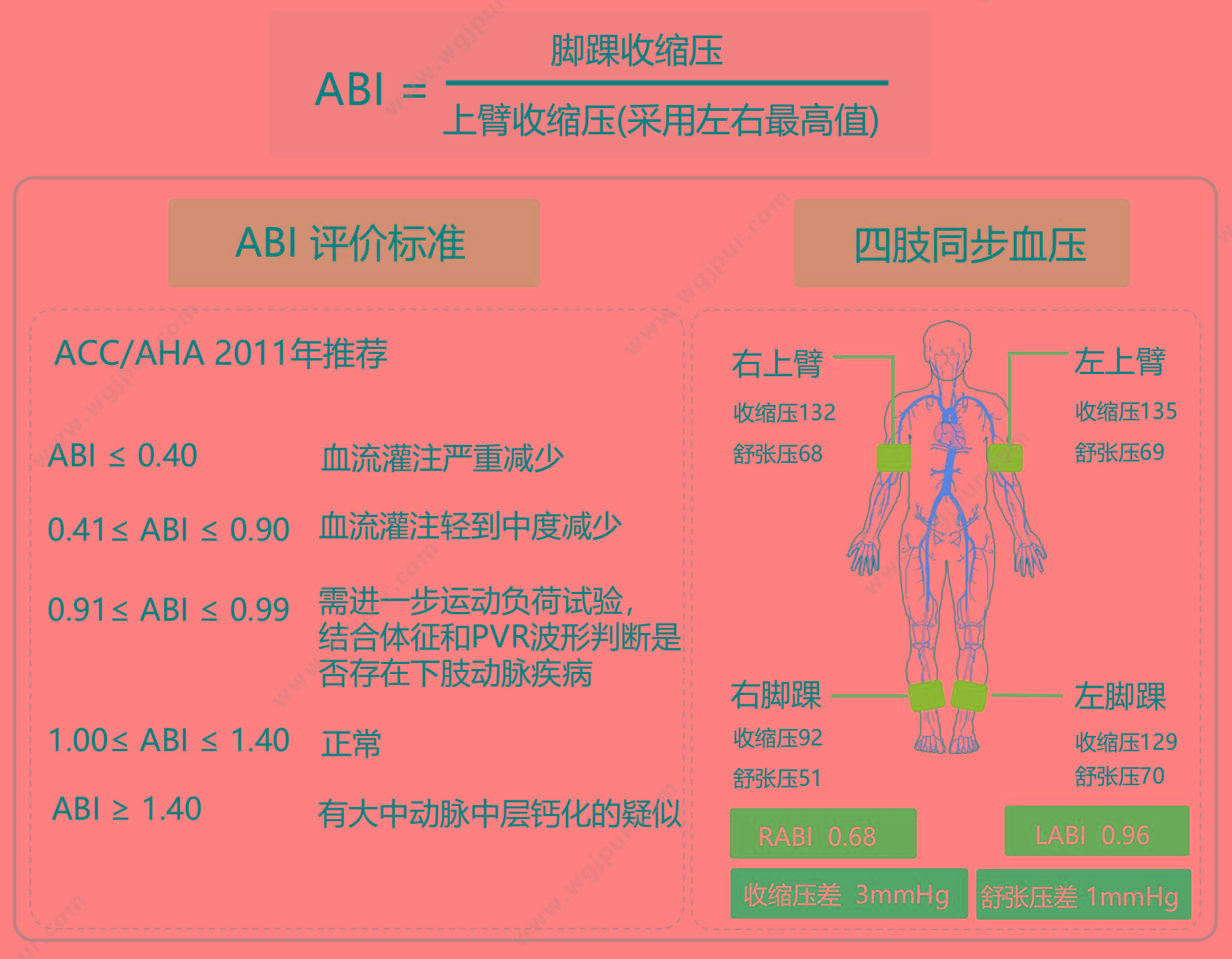 汇医融工HYRG 心血管系统状态监测仪 AF-900(便携式) 动脉硬化检测仪