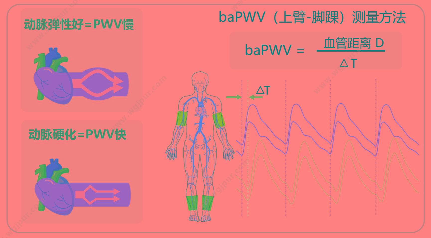 汇医融工HYRG 心血管系统状态监测仪 AF-900(便携式) 动脉硬化检测仪