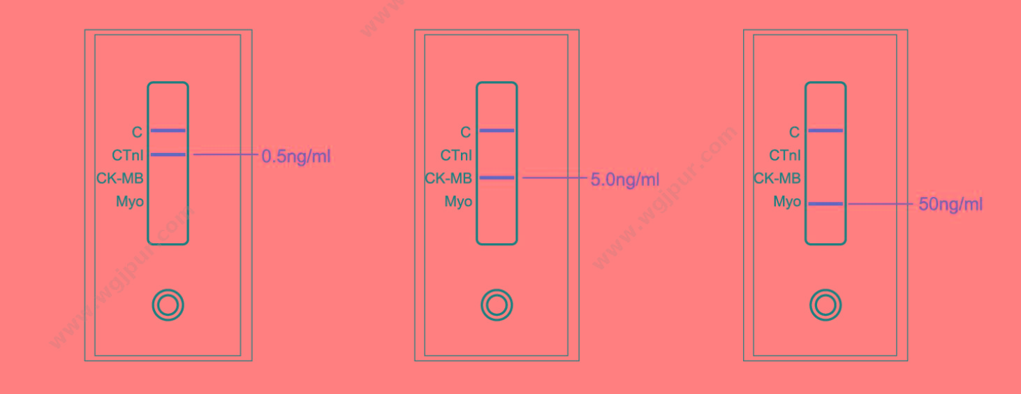 英科新创 Intec 心肌肌钙蛋白I检测试剂（胶体金法） 10人份/盒 POCT快检试剂