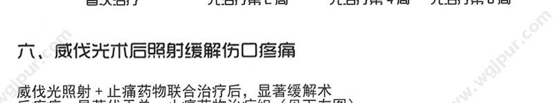 海特科技 Hydrosun 红外辐照治疗装置 500型 红外线治疗仪