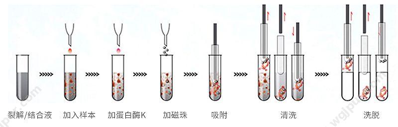 珠海黑马 核酸提取仪 E96-II 核酸提取仪