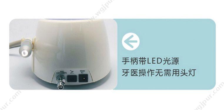 懿可仕 XPEDENT 超声洁牙机 SHEL-Y.LED 洁牙机
