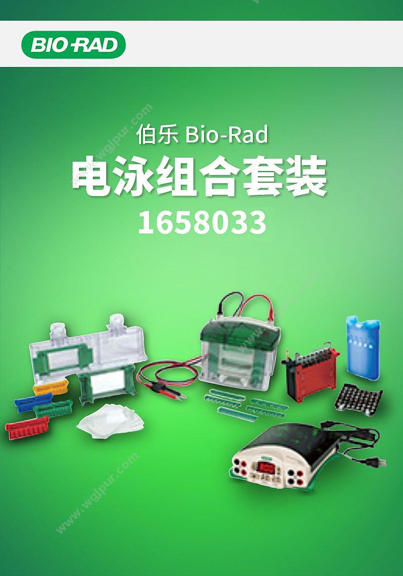 伯乐 Bio-Rad 电泳组合套装 1658033 蛋白质电泳系统