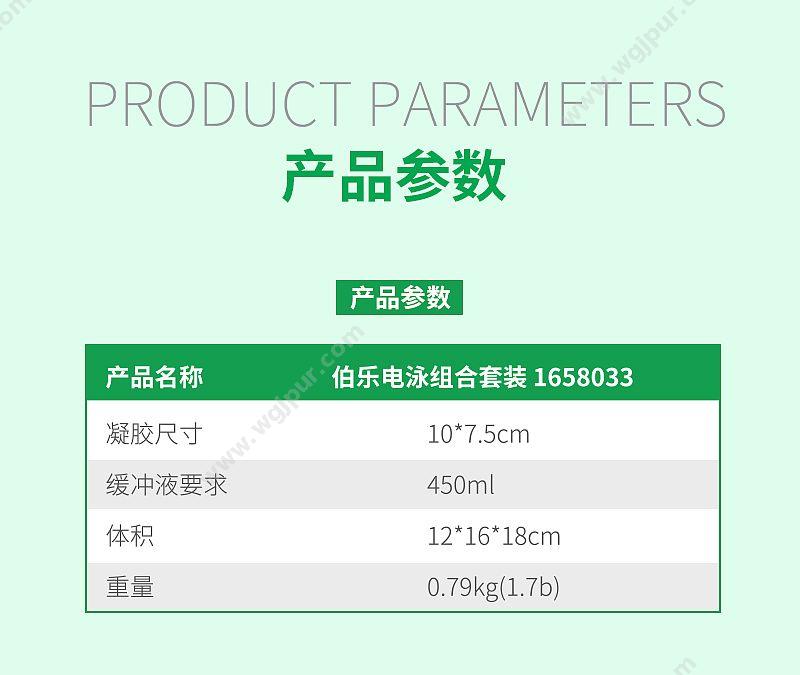 伯乐 Bio-Rad 电泳组合套装 1658033 蛋白质电泳系统