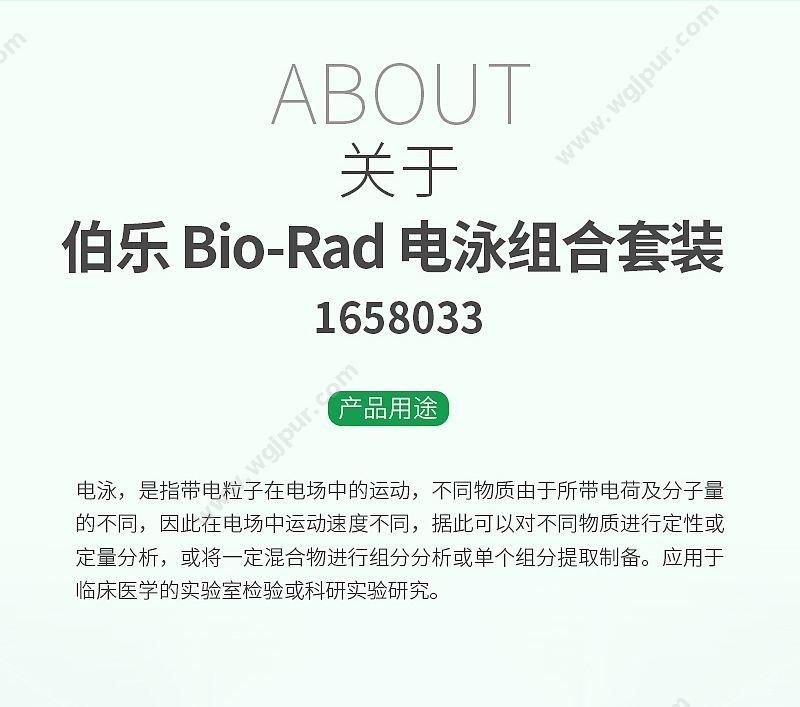 伯乐 Bio-Rad 电泳组合套装 1658033 蛋白质电泳系统